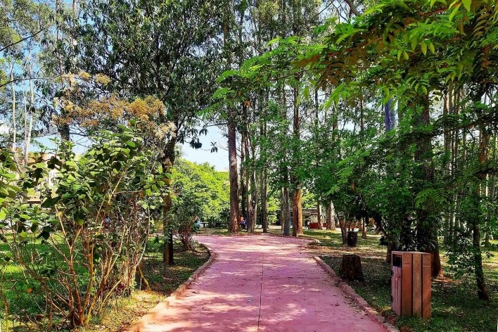 Readequação do Parque Municipal Raul Seixas, São Paulo SP Brasil, 2019. Secretaria do Verde e Meio Ambiente – Departamento de Implantação, Projetos e Obras/ Secretaria Municipal da Pessoa com Deficiência<br />Foto Leon Rodrigues  [Secom]