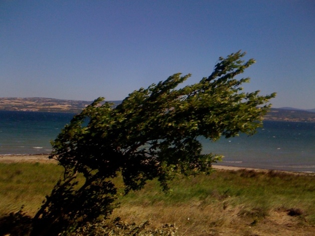 Paisagem do estreito de Dardanelos<br />Foto Maria Cristina Wolff de Carvalho 