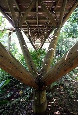 Residência Pouso Alto, Barra do Una, São Sebastião SP<br />Foto de Gal Oppido 