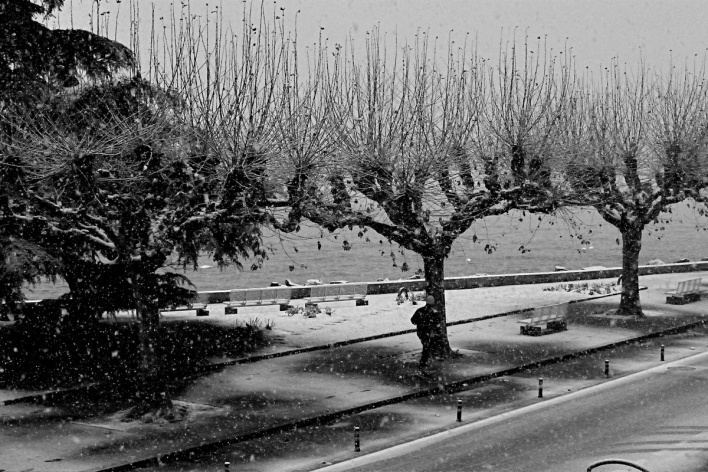 Paisagem gelada, Vevey, Suíça<br />Foto Roberto Abramovich 