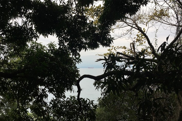 Vista de Ilha Grande<br />Foto Abilio Guerra 