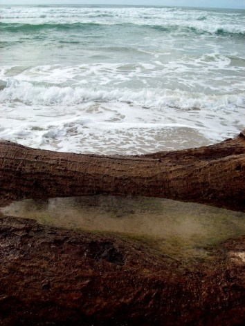 Praia da Joaquina, Florianópolis, março de 2011<br />Foto Gisela Barcellos de Souza 