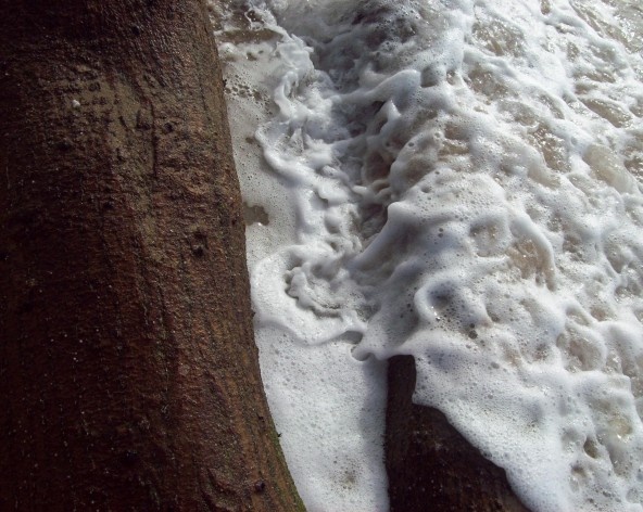 Praia da Joaquina, Florianópolis, março de 2011<br />Foto Gisela Barcellos de Souza 