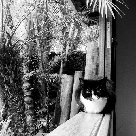 Paraty<br />Foto Abilio Guerra 