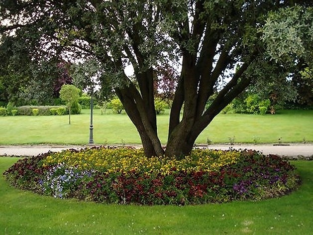 Jardim da Hacienda Torremilanos<br />Foto Breno Raigorodsky 