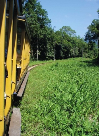 Bertioga, bonde a caminho da Vila de Itatinga<br />Foto Denise Fernandes Geribello, mar. 2003 