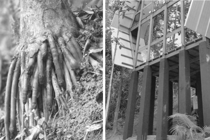 Monkey House, Paraty RJ Brasil, 2020. Arquiteto Marko Brajovic / Atelier Marko Brajovic<br />Foto/ Photo Rafael Medeiros / Gustavo Uemura 
