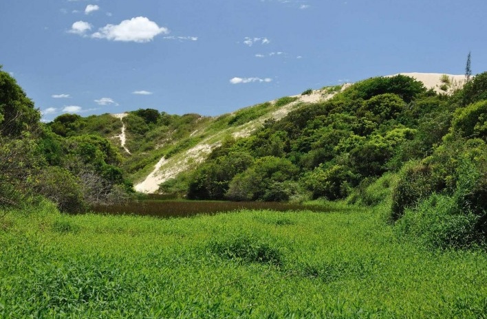 Dunas no Siriú, Garopaba SC<br />Foto José Tabacow 