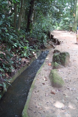 C órrego que nasce na Floresta da Tijuca