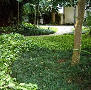 Instituto Moreira Salles [Foto Eduardo Barra]