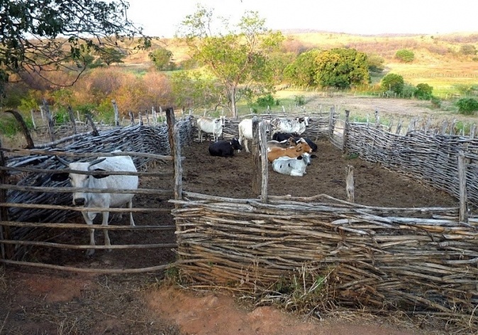 Várzea Alegre, Ceará<br />Foto José Albano 
