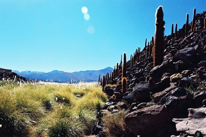 São Pedro do Atacama, Chile<br />Foto José Carvalho Góes 