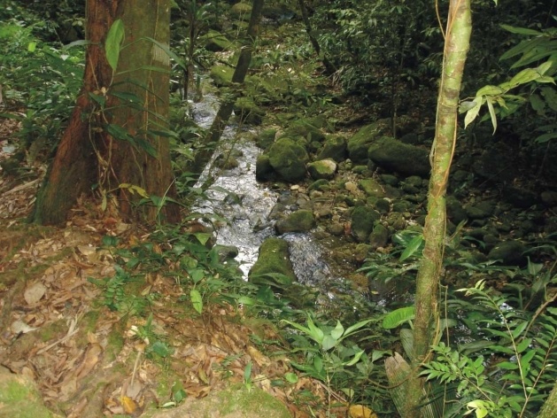 Bertioga, sinalização na entrada da Vila de Itatinga<br />Foto Denise Fernandes Geribello, mar. 2003 