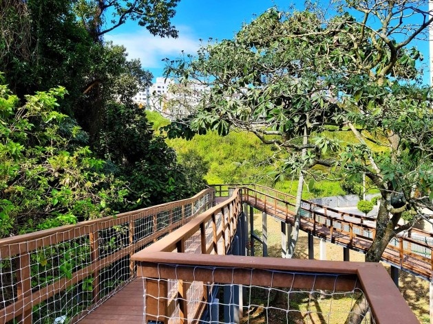 Parque Municipal Nair Bello, imagem da passarela com destaque para maciço arbóreo, São Paulo SP Brasil, 2020. Secretaria Municipal do Verde e do Meio Ambiente<br />Foto divulgação  [Acervo SVMA/DIPO]
