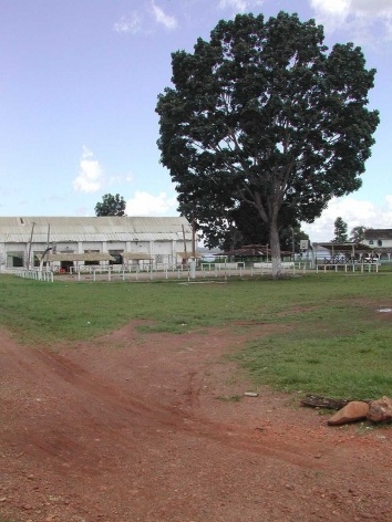 Fordlandia, exemplo de destruição e construção<br />Foto Carlos Teixeira 