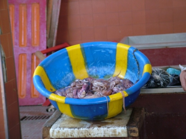 Bacia com pescado fresco<br />Foto Paula Janovitch 