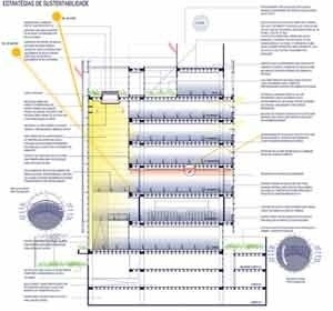Corte - estratégias de sustentabilidade<br />Imagem de Marcos A. Jobim 