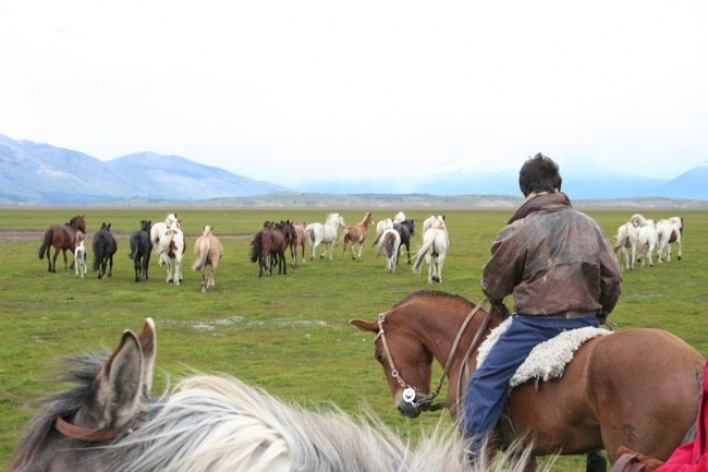 Lucas conduzindo cavalos criollo<br />Foto Thomas Bussius 