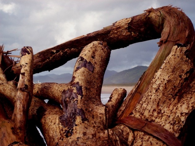 Praia da Joaquina, Florianópolis, março de 2011<br />Foto Gisela Barcellos de Souza 