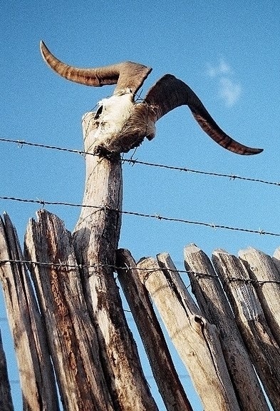 Banabuiú, Ceará<br />Foto José Albano 