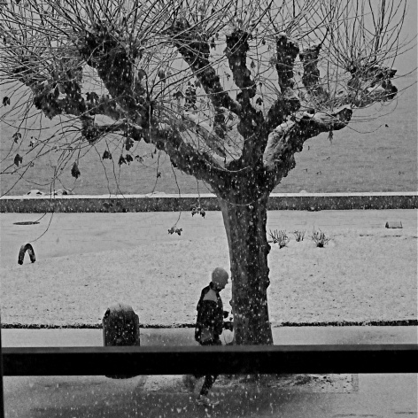 Paisagem gelada, Vevey, Suíça<br />Foto Roberto Abramovich 