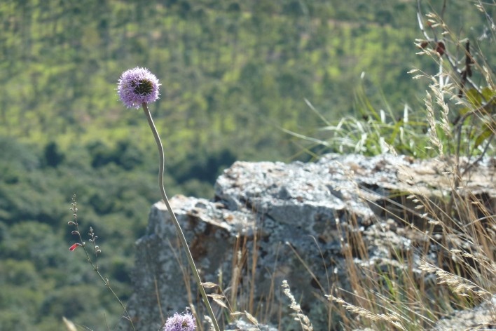 Morro da Mesa, paisagem rupestre<br />Foto Michel Gorski 