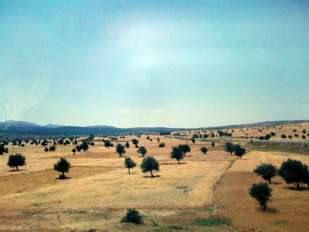 Paisagem de planície na Anatólia<br />Foto Maria Cristina Wolff de Carvalho 