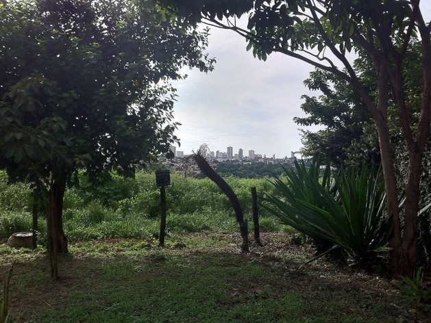 Centro da cidade visto do Vale do Sol, Araraquara<br />Foto Abilio Guerra 