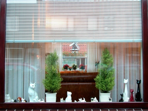 figura 1 - Dutch Windows <br />Foto Fernanda Curi 