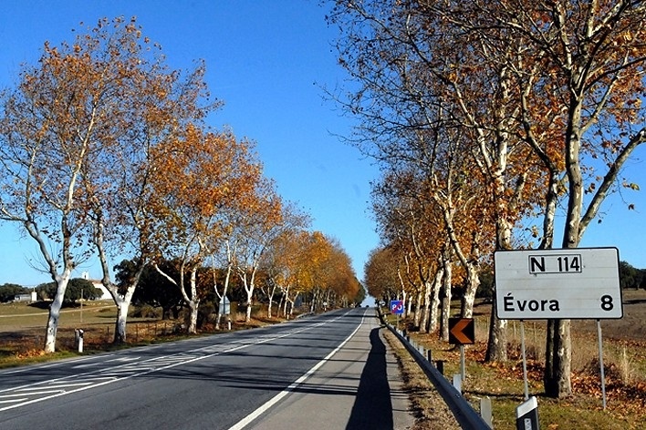 Estrada de acesso à cidade de Évora <br />Foto Junancy Wanderley 