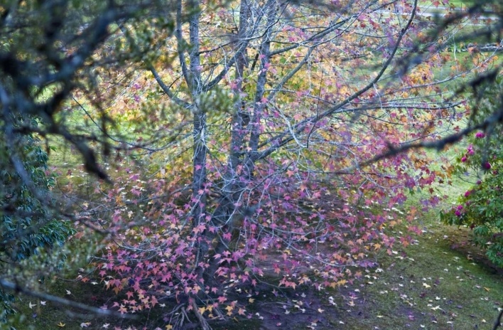 Mostra "Ao vento"<br />Foto Adriana Rosset 