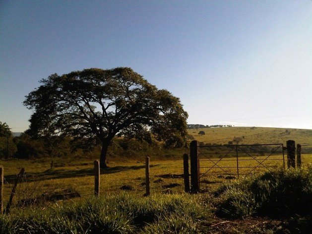 Ensaio “Paraíso escondido”<br />Foto Abilio Guerra 