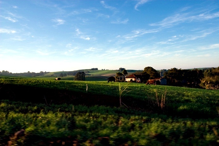 Paisagem de uma fazenda nos arredores do parque<br />Foto Juliana Falchetti 