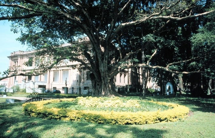 Parque da Luz, São Paulo<br />Foto Clayton Lino 