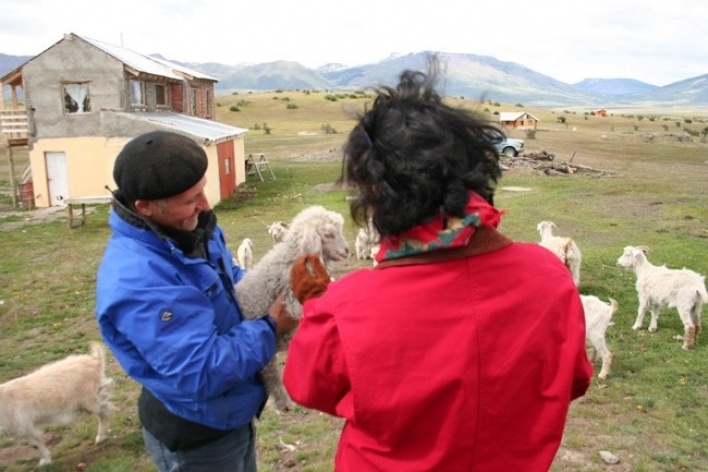 Cabras européias menores e lanudas, adaptadas ao meio<br />Foto Thomas Bussius 
