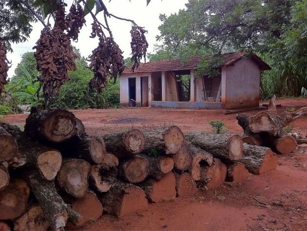 Sítio Laranjal, área rural, Araraquara<br />Foto Abilio Guerra 