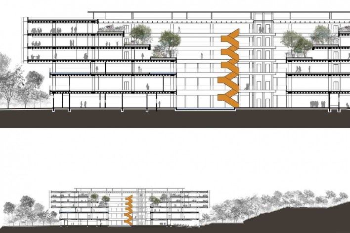 Sede Natura São Paulo – NASP, corte longitudinal (detalhe e integral), São Paulo, 2017. Arquitetos Lilian Dal Pian e Renato Dal Pian<br />Imagem divulgação 