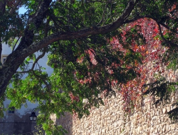 Muro de Évora<br />Foto Junancy Wanderley 