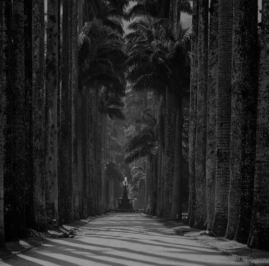 Ensaio fotográfico. Jardim Botanico01<br />Ensaio fotográfico Cristiano Mascaro 