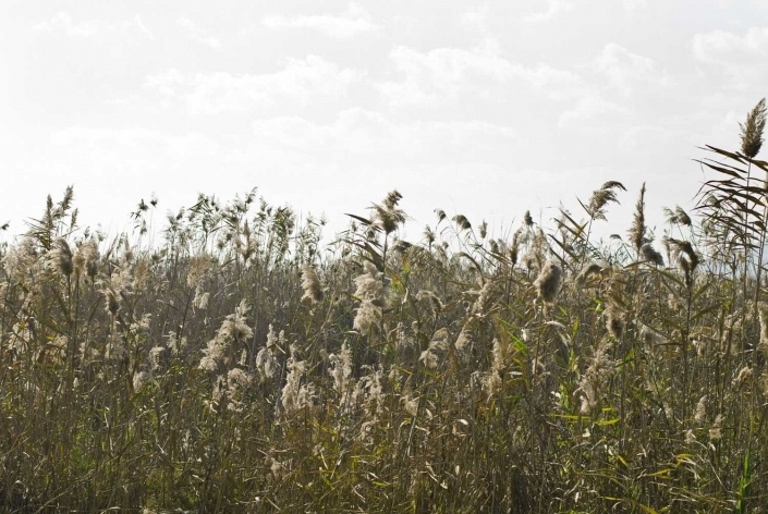 Mostra "Ao vento"<br />Foto Adriana Rosset 