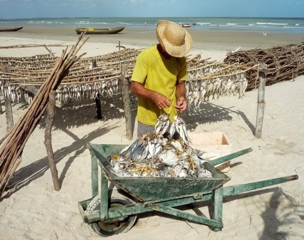 Bitupitá, Ceará. Peixe salgando ao sol<br />Foto José Albano 