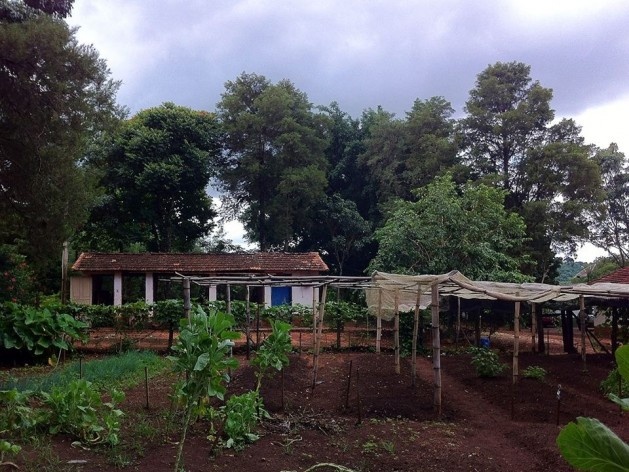 Sítio Laranjal, área rural, Araraquara<br />Foto Abilio Guerra 
