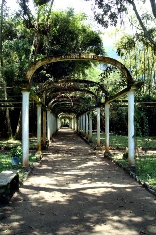 Estrutura dos pergolados