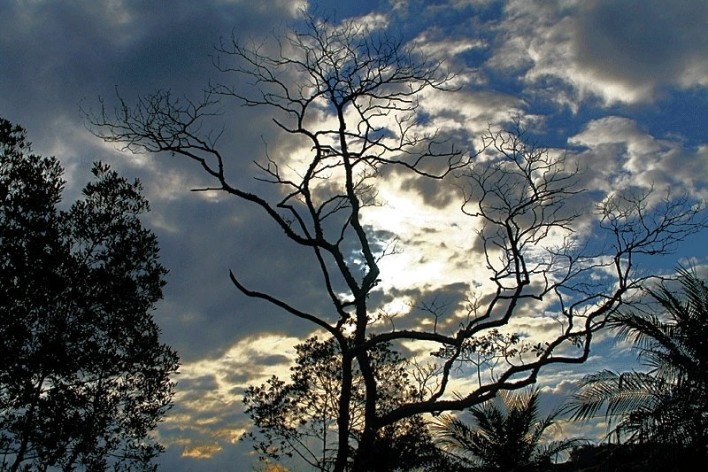 Fim de tarde no Parque Tanguá<br />foto Lygia Nery 