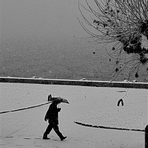 Paisagem gelada, Vevey, Suíça<br />Foto Roberto Abramovich 