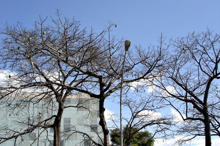 Ensaio "Brasília: mais do mesmo"<br />Foto Eduardo Rossetti 