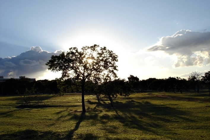 Ensaio "Brasília: mais do mesmo"<br />Foto Eduardo Rossetti 