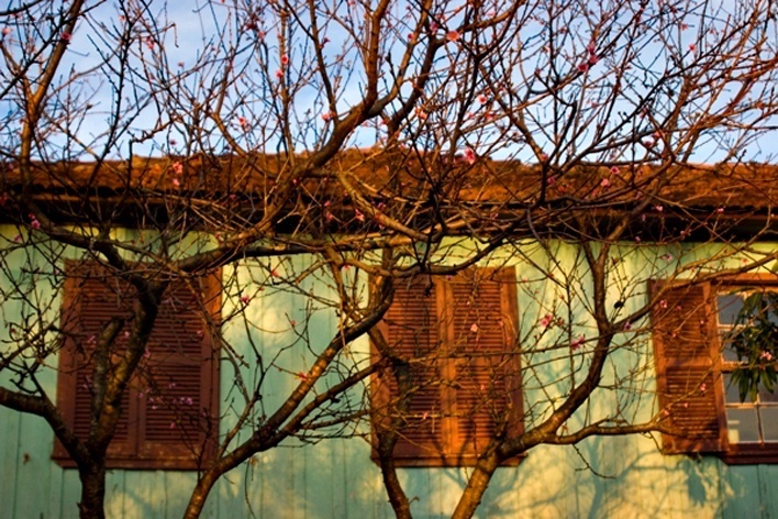 Fachada de uma residência em Derrubadas RS <br />Foto Juliana Falchetti 