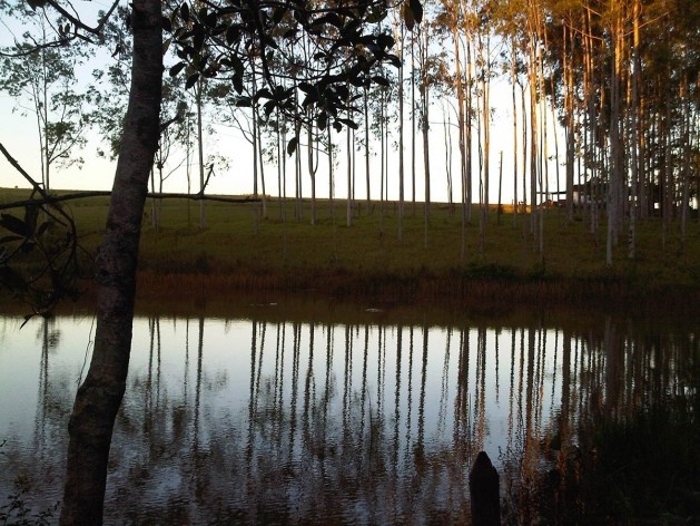 Ensaio “Paraíso escondido”<br />Foto Abilio Guerra 