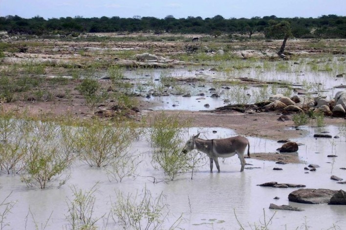 Remanso, área próxima ao Lago de Sobradinho alagada pelas chuvas<br />Foto Sanane Sampaio 